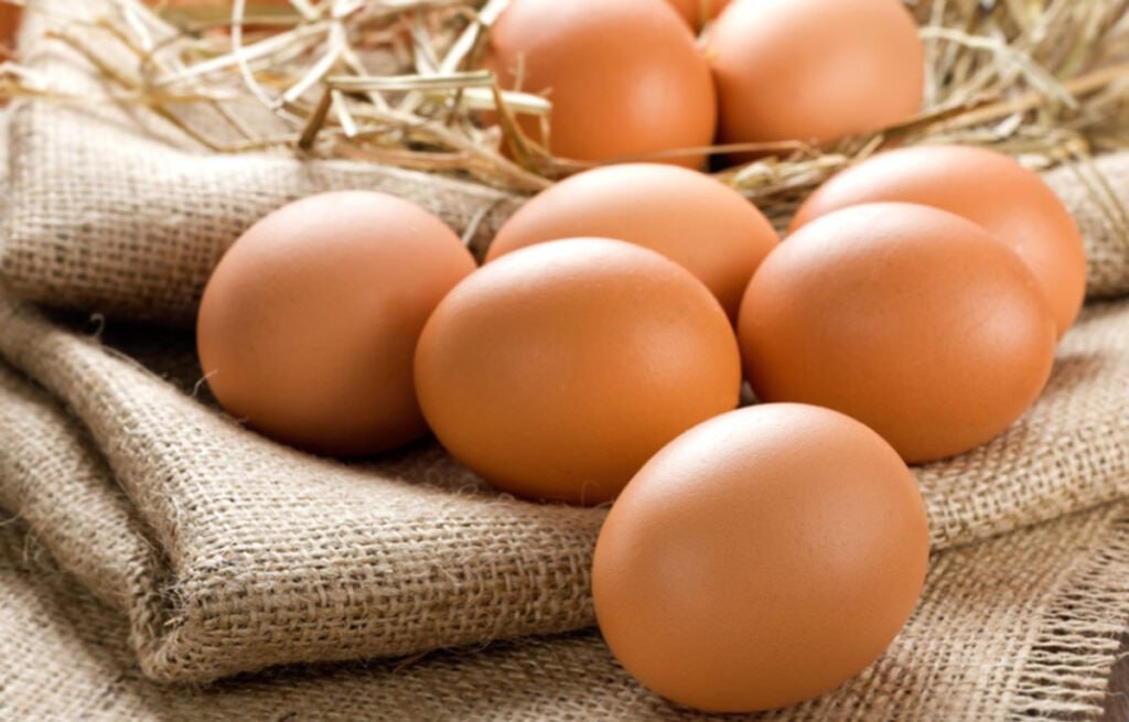 Czy jajka są szkodliwe 🥚⬇️